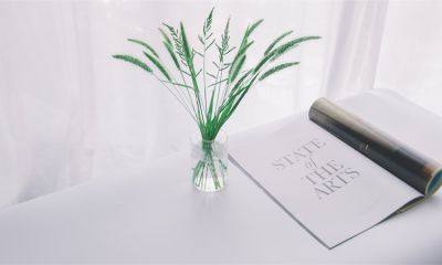 如何巧搭配室內木門